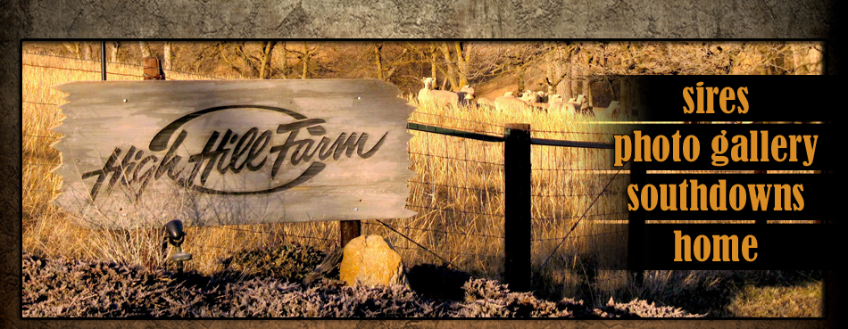 High Hill Farm